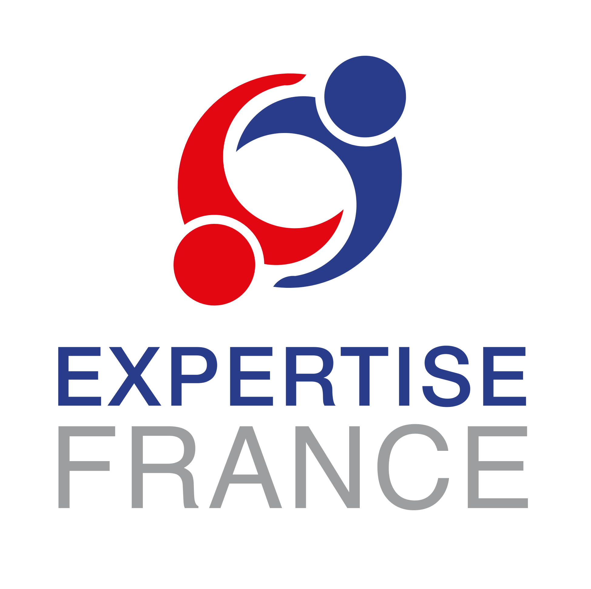 Expertise France